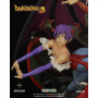 Darkstalkers 3: Morrigan & Lilith 300 piezas