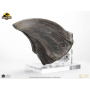 495€ Jurassic Park Estatua T-Rex Foot Claw 28 cm
