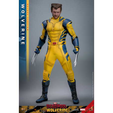 Deadpool & Wolverine Movie Masterpiece Figura 1/6 Wolverine (Deluxe Version) 31 cm