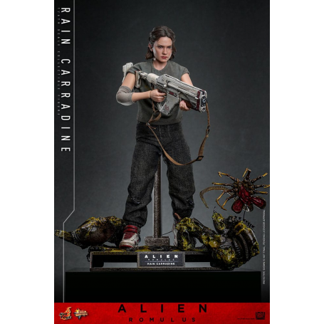 335€ Alien: Romulus Figura Movie Masterpiece 1/6 Rain Carradine 26 cm