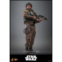 339€ Rogue One: una historia de Star Wars Figura 1/6 Cassian Andor 30 cm
