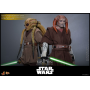 289€ Star Wars: Episodio III - La venganza de los Sith Figura Movie Masterpiece 1/6 Saesee Tiin 31 cm