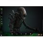 359€ Alien Figura Movie Masterpiece 1/6 Big Chap 36 cm