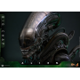 359€ Alien Figura Movie Masterpiece 1/6 Big Chap 36 cm