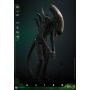 359€ Alien Figura Movie Masterpiece 1/6 Big Chap 36 cm