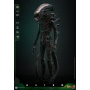 359€ Alien Figura Movie Masterpiece 1/6 Big Chap 36 cm