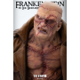 869€ Frankenstein by lee bermejo 1/4 statue
