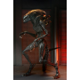 ULTIMATE SCORCHED XENOMORPH SCALE ACTION FIG. 23 CM ALIEN: ROMULUS
