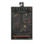 ULTIMATE SCORCHED XENOMORPH SCALE ACTION FIG. 23 CM ALIEN: ROMULUS