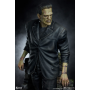 835€ Frankenstein Estatua Premium Format Frankenstein (Fabric Costume) 57 cm
