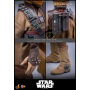325€ Star Wars Episode VI Figura Movie Masterpiece 1/6 Leia Organa (Boushh Disguise) 27 cm