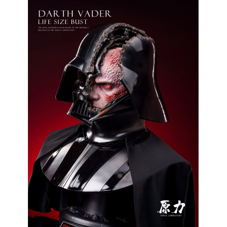 1599€ Darth Vader bust  71 CM