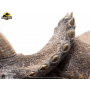 2899€ Parque Jurásico Maquette 1/8 Sick Triceratops 96 cm