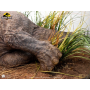 2899€ Parque Jurásico Maquette 1/8 Sick Triceratops 96 cm