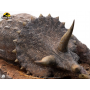 2899€ Parque Jurásico Maquette 1/8 Sick Triceratops 96 cm