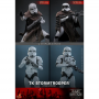 335€ Star Wars: The Bad Batch EDICION ESPECIAL Figura 1/6 TK Stormtrooper 30 cm