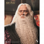 549€ Harry Potter Dumbledore Premium INART 37cm