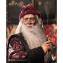 549€ Harry Potter Dumbledore Premium INART 37cm