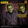 82€ El doctor Frankenstein Maqueta Plastic Model Kit 1/8 The Monster of Frankenstein 27 cm