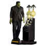 82€ El doctor Frankenstein Maqueta Plastic Model Kit 1/8 The Monster of Frankenstein 27 cm
