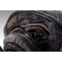 Alien Romulus Busto 1/1 Xenomorph 53 cm
