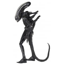 145€ Alien 1/4 Figura Big Chap 56 cm