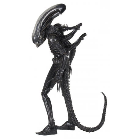 145€ Alien 1/4 Figura Big Chap 56 cm