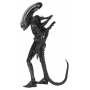 145€ Alien 1/4 Figura Big Chap 56 cm