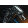 145€ Alien 1/4 Figura Big Chap 56 cm