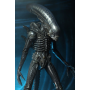 145€ Alien 1/4 Figura Big Chap 56 cm