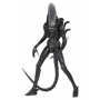 145€ Alien 1/4 Figura Big Chap 56 cm