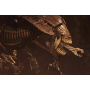 152€ Alien Resurrección Figura Ultra Deluxe Alien Queen 38 cm