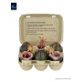 39€ Aliens Pack de 6 Accesorios Carton of Alien Eggs (40th Anniversary)
