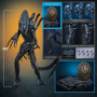 379€ Alien Movie Masterpiece Figura 1/6 Alien Warrior (Deluxe Version) 39 cm