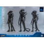 379€ Alien Movie Masterpiece Figura 1/6 Alien Warrior (Deluxe Version) 39 cm