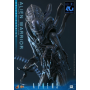 379€ Alien Movie Masterpiece Figura 1/6 Alien Warrior (Deluxe Version) 39 cm