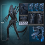 359€ Alien Movie Masterpiece Figura 1/6 Alien Warrior 39 cm