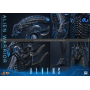 359€ Alien Movie Masterpiece Figura 1/6 Alien Warrior 39 cm