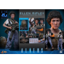 359€ Alien Movie Masterpiece Figura 1/6 Ellen Ripley (Deluxe Version) 30 cm