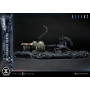 629€ Aliens (Film) Ultimate Diorama Masterline Estatua Warrior Xenomorph for Queen Alien 23 cm