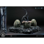 629€ Aliens (Film) Ultimate Diorama Masterline Estatua Warrior Xenomorph for Queen Alien 23 cm