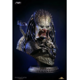 2999€ WOLF PREDATOR LIFE SIZE BUSTO