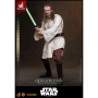 579€ Qui-Gon Jinn (Edición Artisan) de La amenaza fantasma, exclusiva