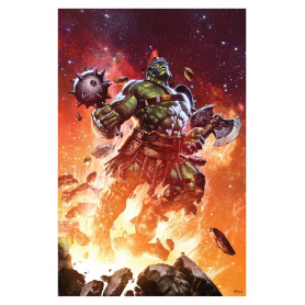 125€ Marvel Litografia Planet Hulk: Worldbreaker 41 x 61 cm - sin marco