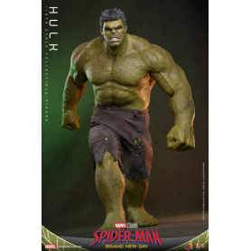 479€ Marvel Figura 1/6 Hulk 51 cm