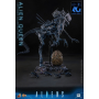 709€ Alien Figura 1/6 Alien Queen 53 cm