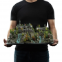 915€ El Señor de los Anillos Diorama Rivendell Open Edition 28 cm
