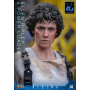 625€ Alien Movie Masterpiece Set de Figuras 1/6 Ellen Ripley y Power Loader 52 cm