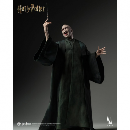 349€ INART Voldemort REGULAR Harry Potter y las Reliquias de la Muerte