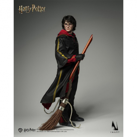 479€ INART Harry Potter y el cáliz de fuego